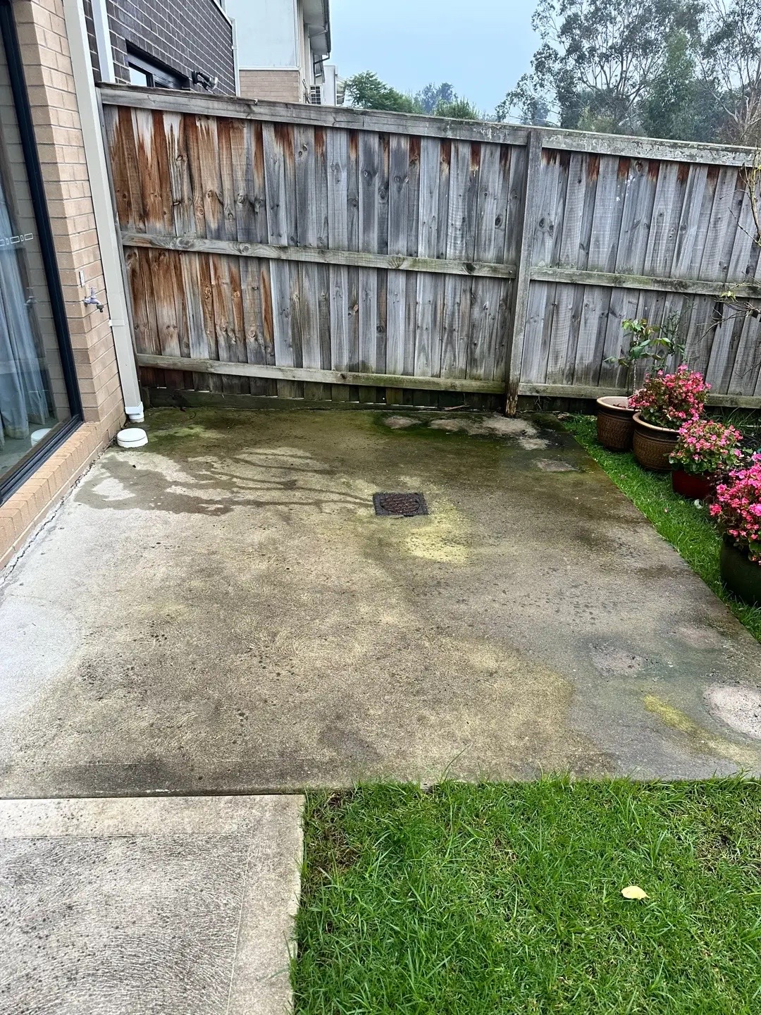 Concrete patio, before cleaning